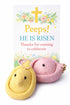 Easter Peep Click Fidget Toy | Sensory Stress Relief Toy, Party Favor, PERSONALIZE YOUR own card!